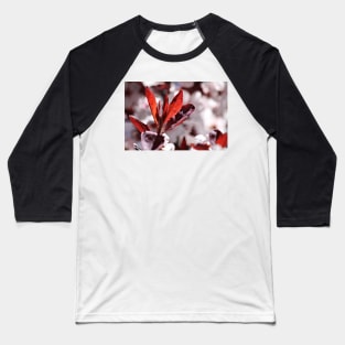 Japanese Cherry Tree (#3) Baseball T-Shirt